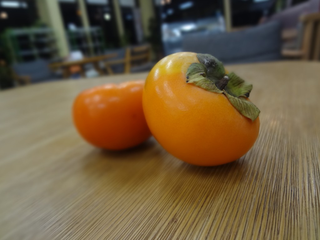 DSC00025